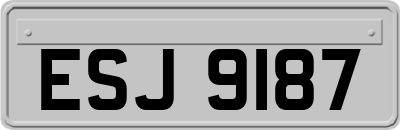 ESJ9187