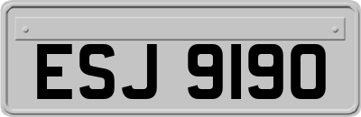 ESJ9190