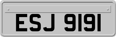 ESJ9191
