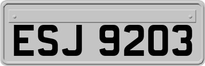 ESJ9203