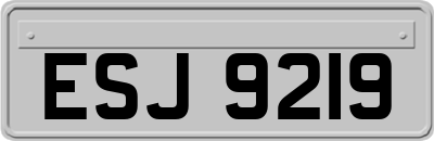 ESJ9219