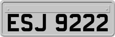 ESJ9222