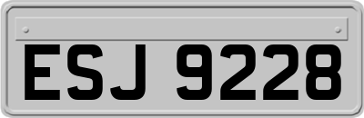ESJ9228