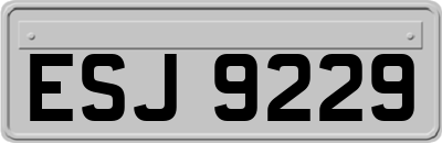 ESJ9229