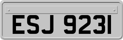 ESJ9231