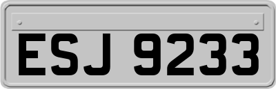 ESJ9233
