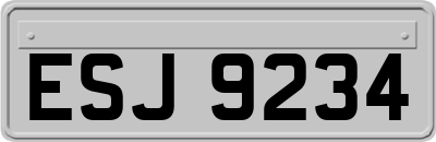 ESJ9234