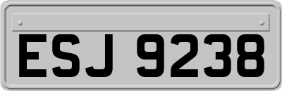 ESJ9238