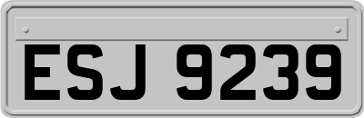 ESJ9239