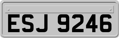 ESJ9246