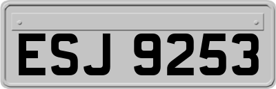 ESJ9253