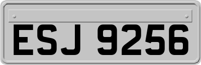 ESJ9256