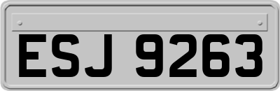 ESJ9263