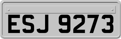 ESJ9273