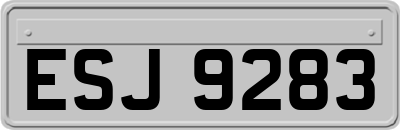 ESJ9283