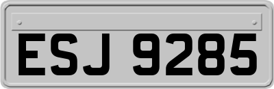 ESJ9285