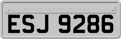 ESJ9286