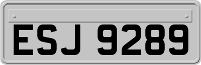 ESJ9289