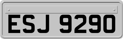 ESJ9290