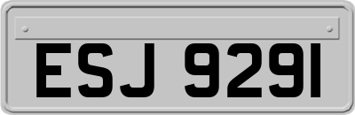 ESJ9291
