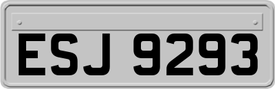 ESJ9293