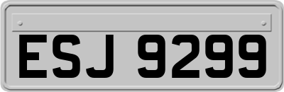 ESJ9299