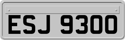 ESJ9300