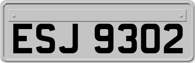 ESJ9302