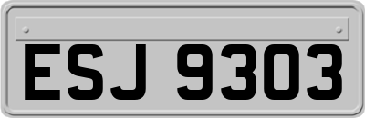 ESJ9303