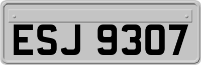 ESJ9307