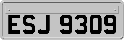 ESJ9309