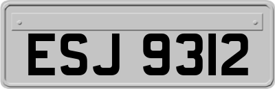 ESJ9312
