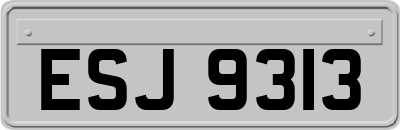 ESJ9313