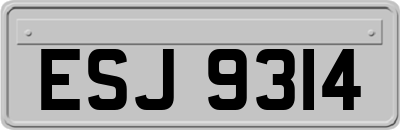 ESJ9314