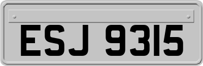 ESJ9315