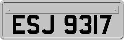 ESJ9317