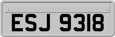 ESJ9318