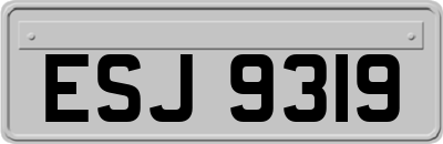 ESJ9319