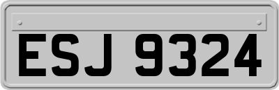 ESJ9324