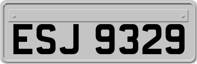 ESJ9329