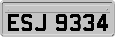 ESJ9334