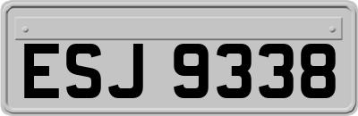 ESJ9338