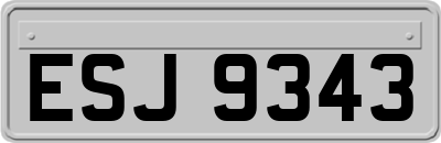 ESJ9343