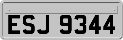ESJ9344