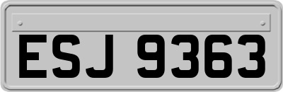 ESJ9363