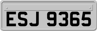 ESJ9365