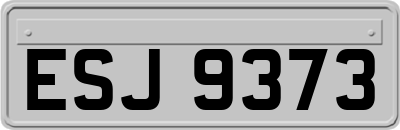 ESJ9373