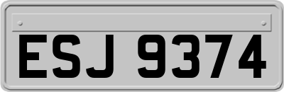 ESJ9374