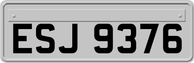 ESJ9376