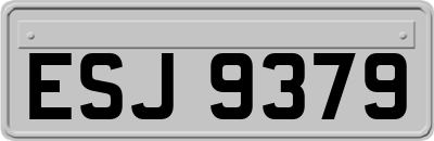 ESJ9379